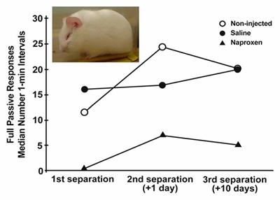 Early Attachment Disruption, Inflammation, and Vulnerability for Depression in Rodent and Primate Models